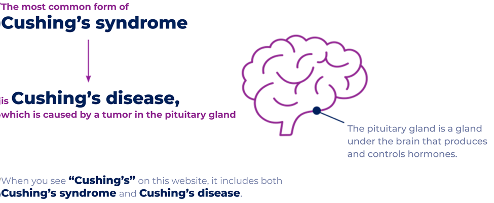 Cushings syndrome diagram